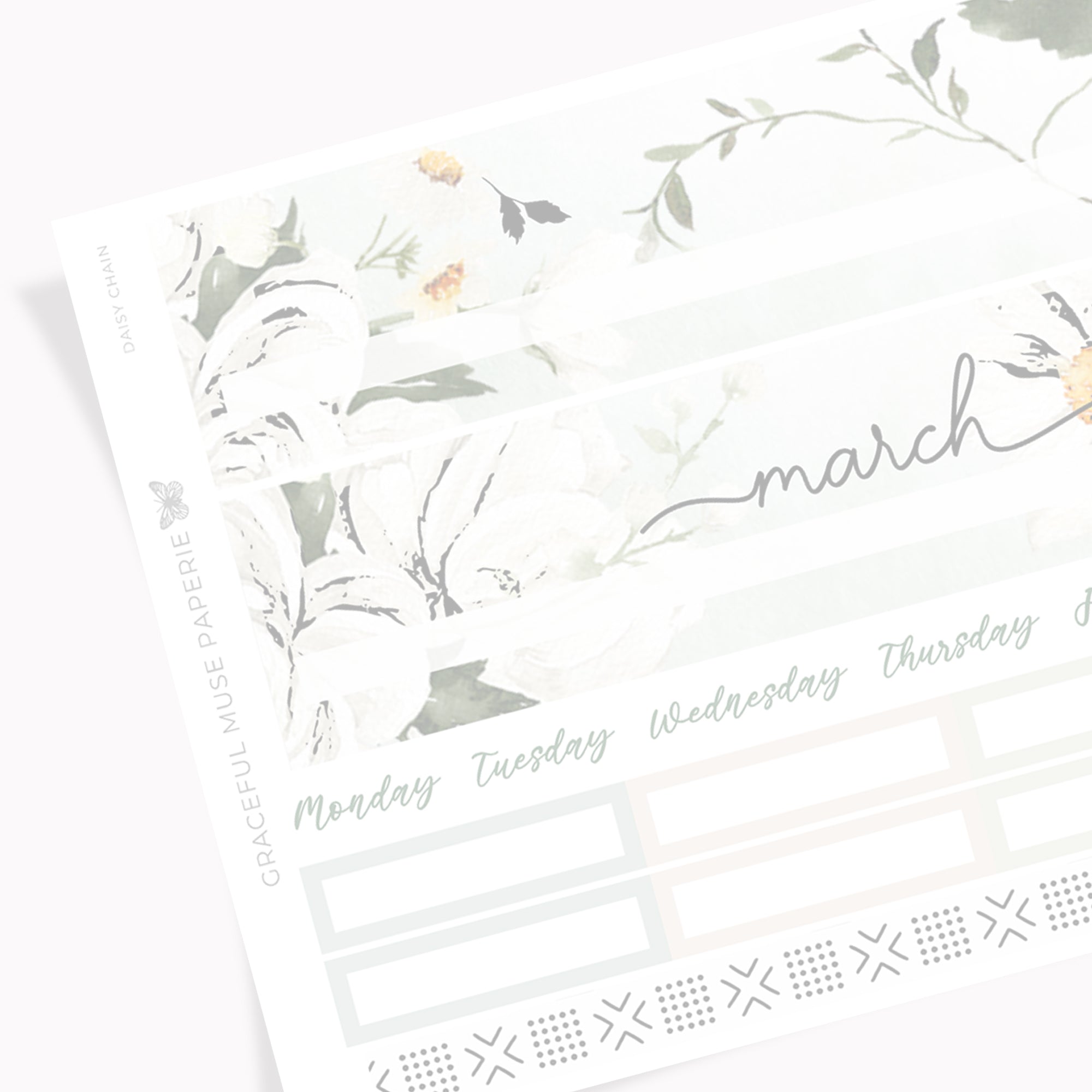 Standard Monthly Kits