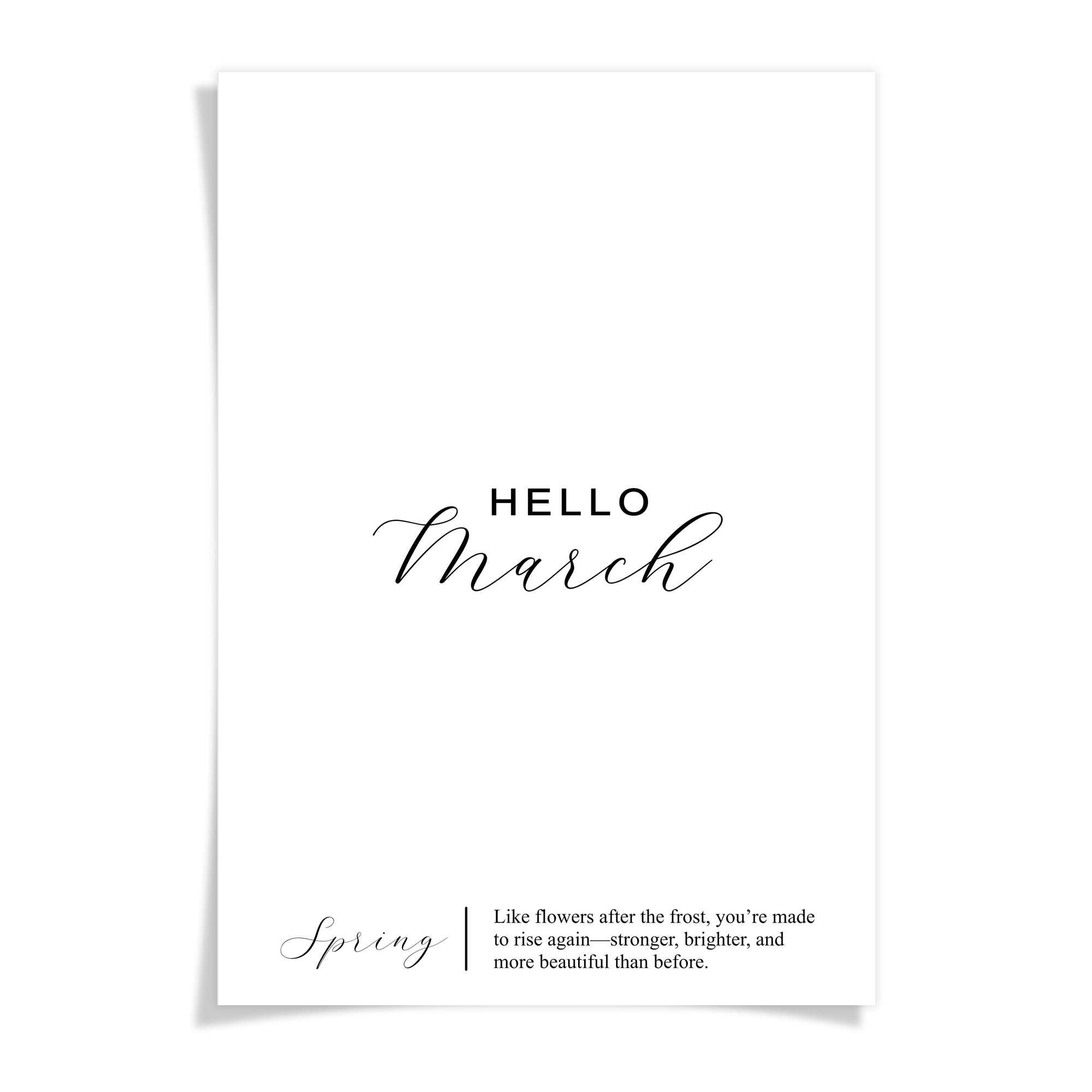 Hello Months - Foiled Vellum HALF LETTER - FULL YEAR BUNDLE