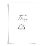 Hello May _ Chapter 5 | Foiled Vellum HALF LETTER - Audrey