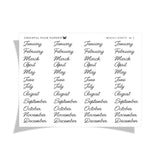 Monthly Scripts | No.5