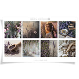 Foto-Szenen-Sammlung | Band 6