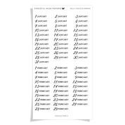 Daily Page Numbers - Collection No.2