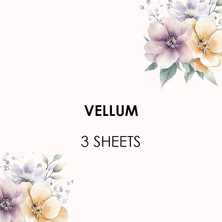 Glitch Bag | Vellum and Paper Sheets