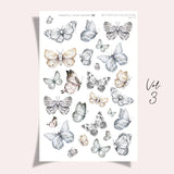 Band 3 | Schmetterlingssammlung