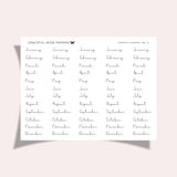 Monthly Scripts | No.4