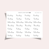Daily Scripts | No.4